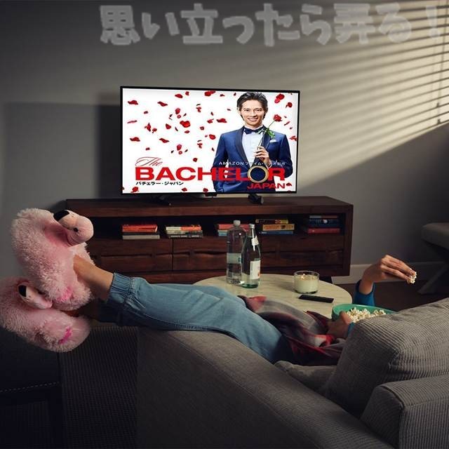 ストリーミングを大画面テレビで楽しめる