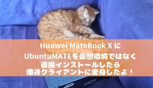 Huawei MateBook X にUbuntuMATEを仮想環境ではなく直接インストールしたら爆速クライアントに変身したよ！