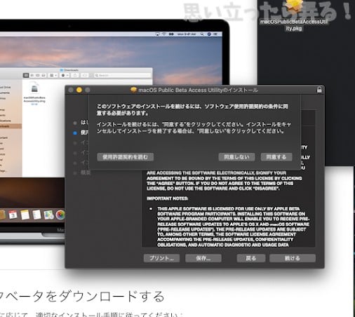 macos catalina beta 0006