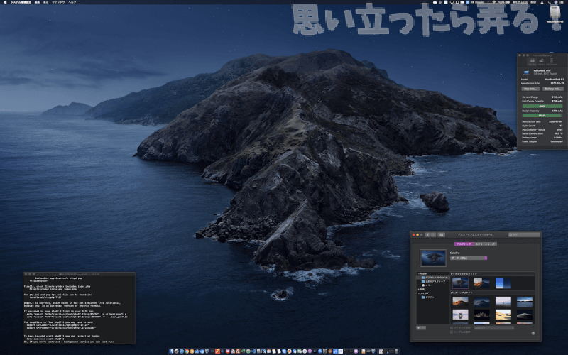 macos catalina beta 0020