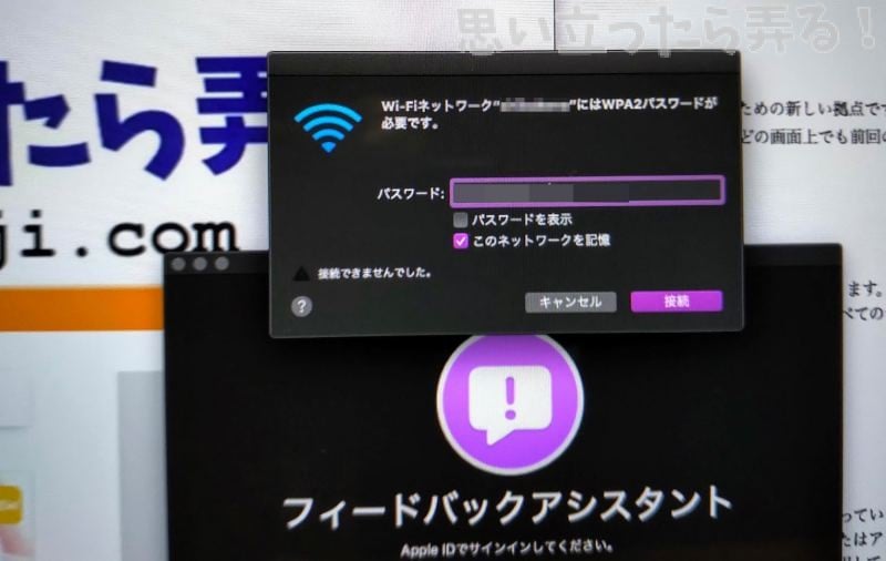 macos catalina beta 0024