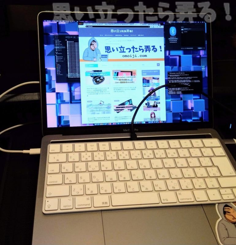 IMG 20191104 023156