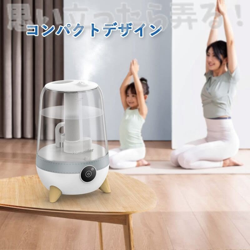 Besmira humidifier review101
