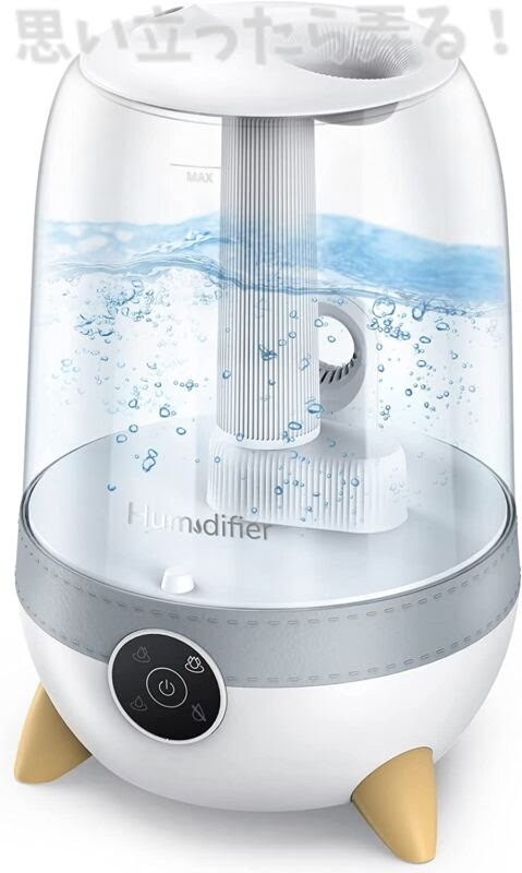 Besmira humidifier review106