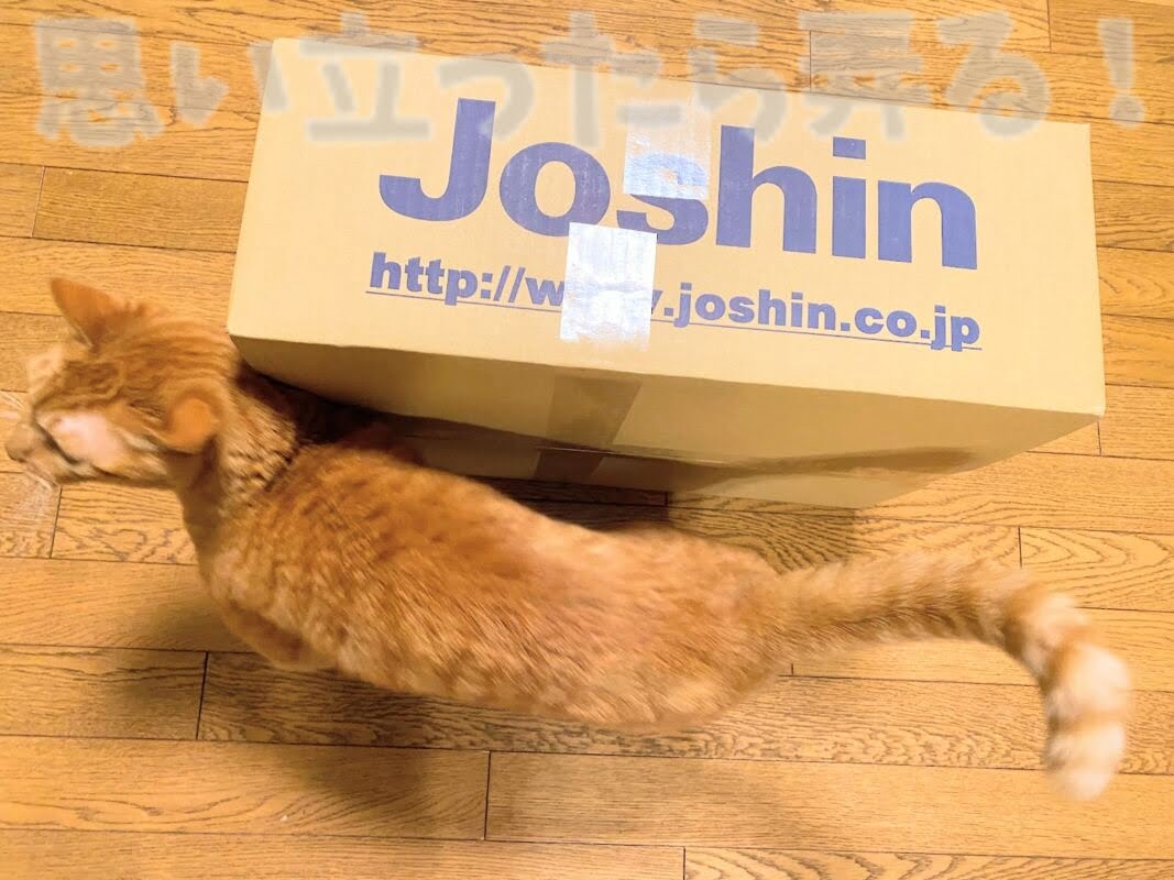 楽天ジョーシン店から届いた荷物