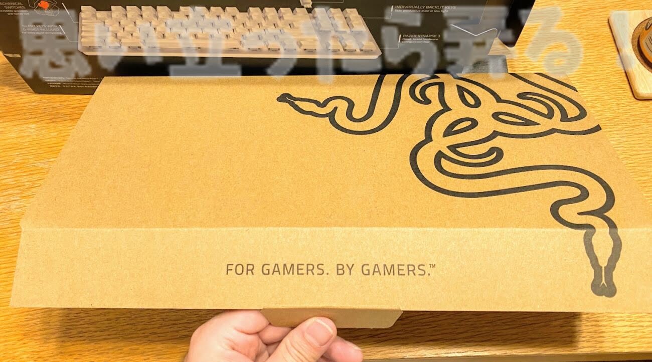 Razer BlackWidow keyboard217