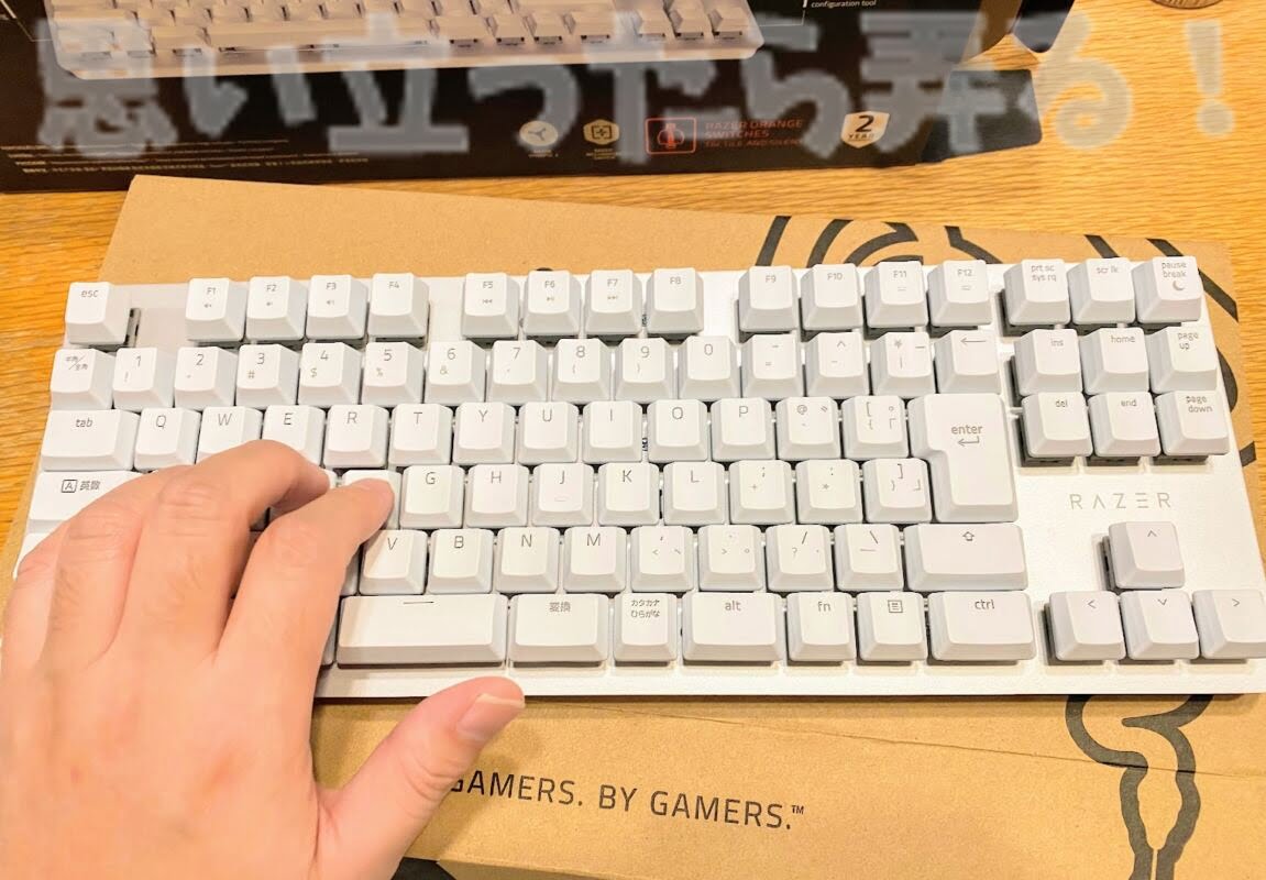 Razer BlackWidow keyboard219