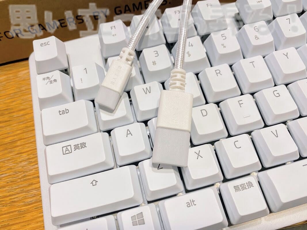Razer BlackWidow keyboard229