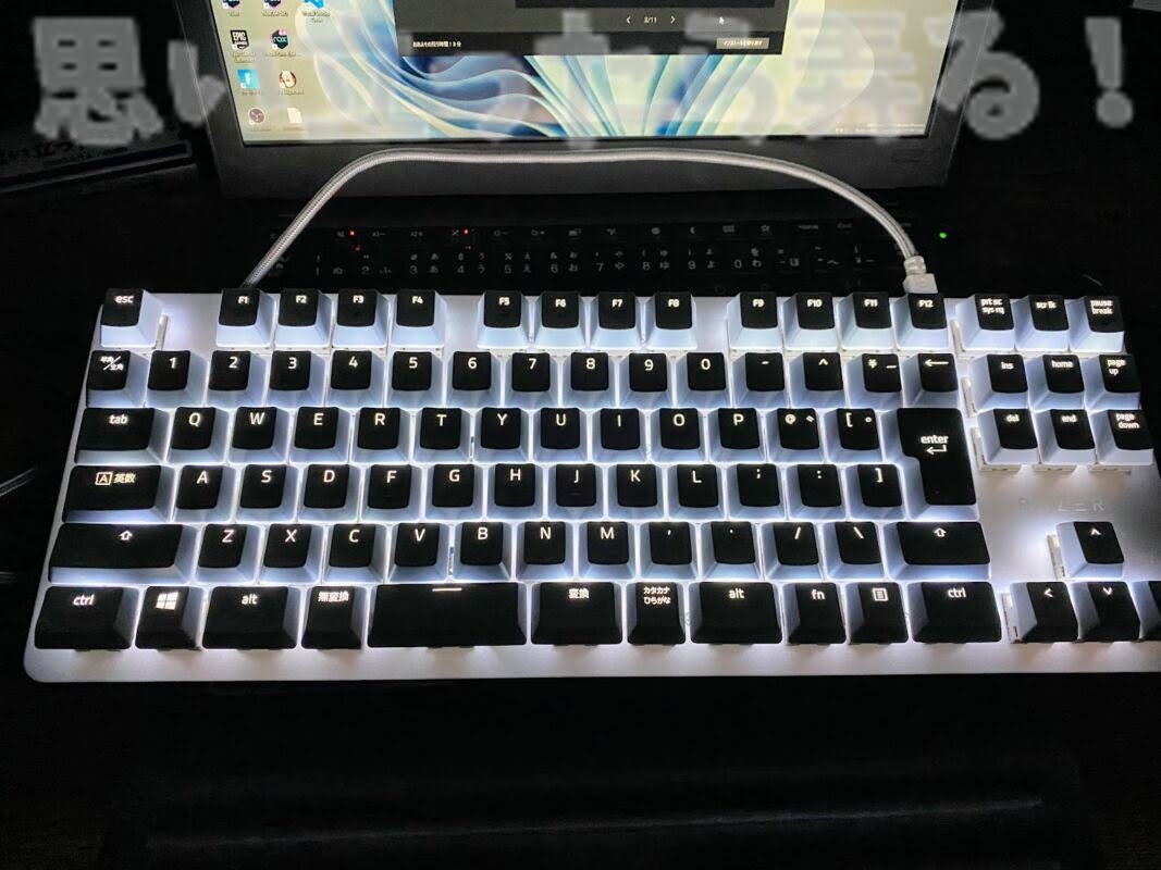 Razer BlackWidow keyboard235