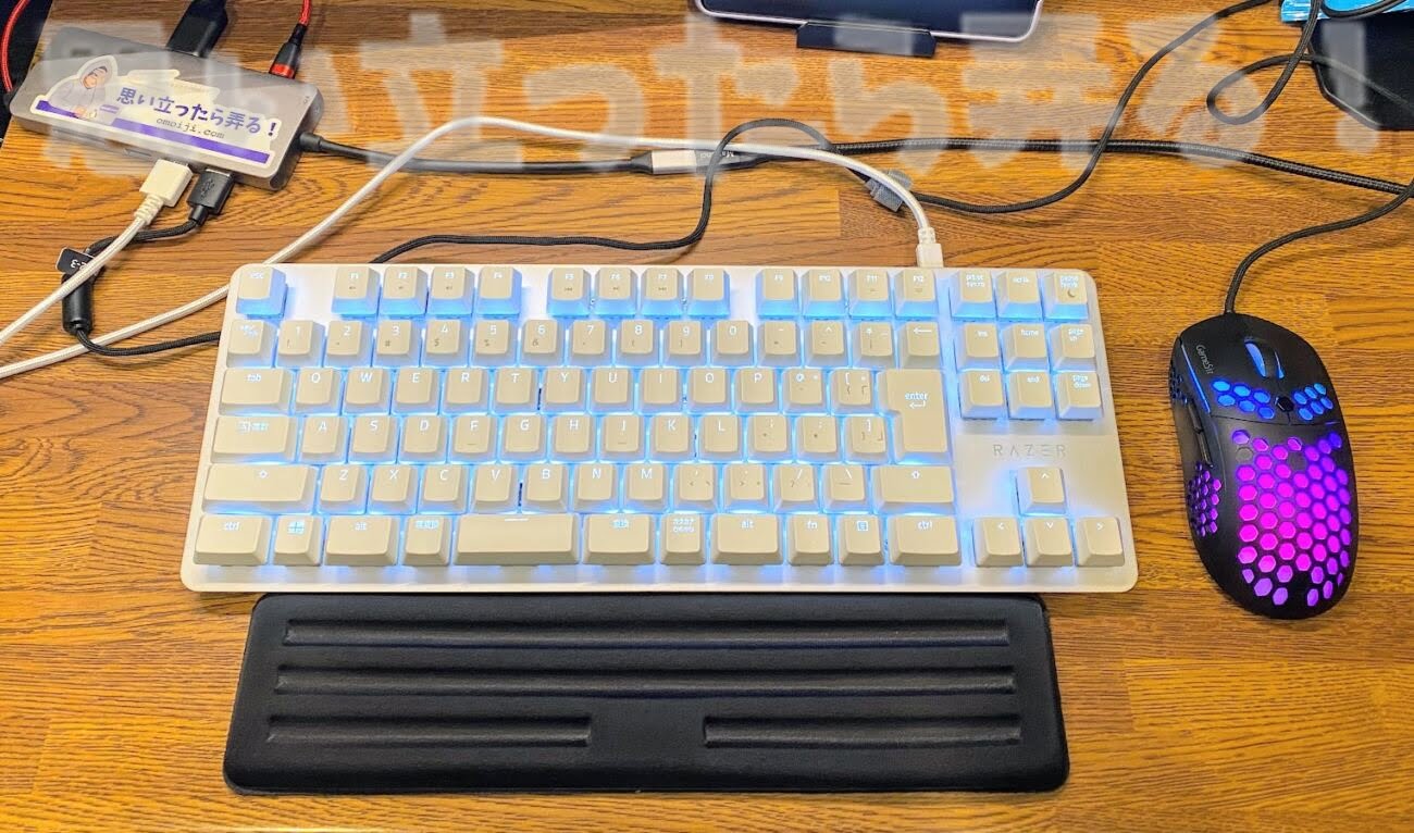 Razer BlackWidow keyboard241