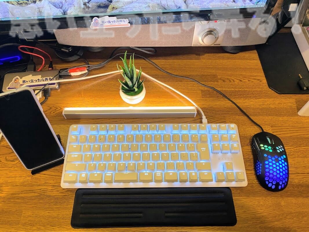 Razer BlackWidow keyboard242