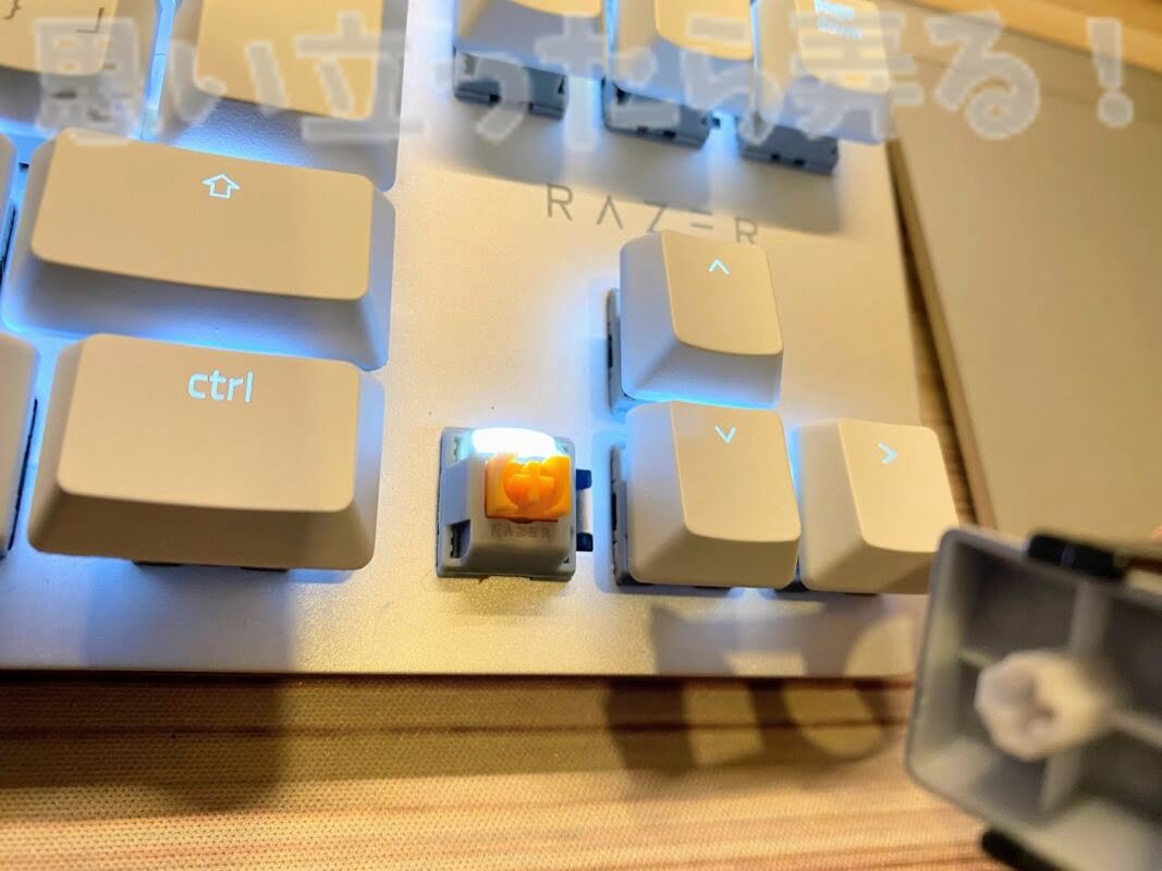 Razer BlackWidow keyboard247