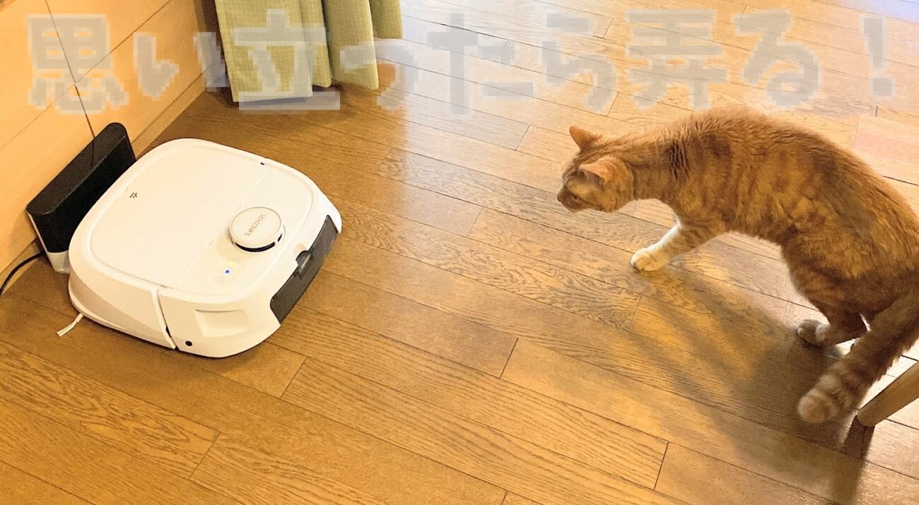 tecbot robot cleaner review249