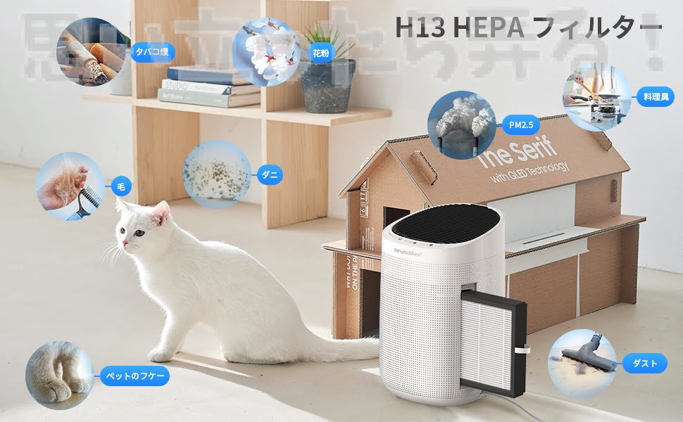 Afloia Dehumidifier review206